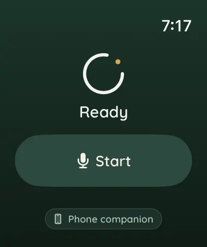 The companion Apple Watch app ready to start a recording from the wrist